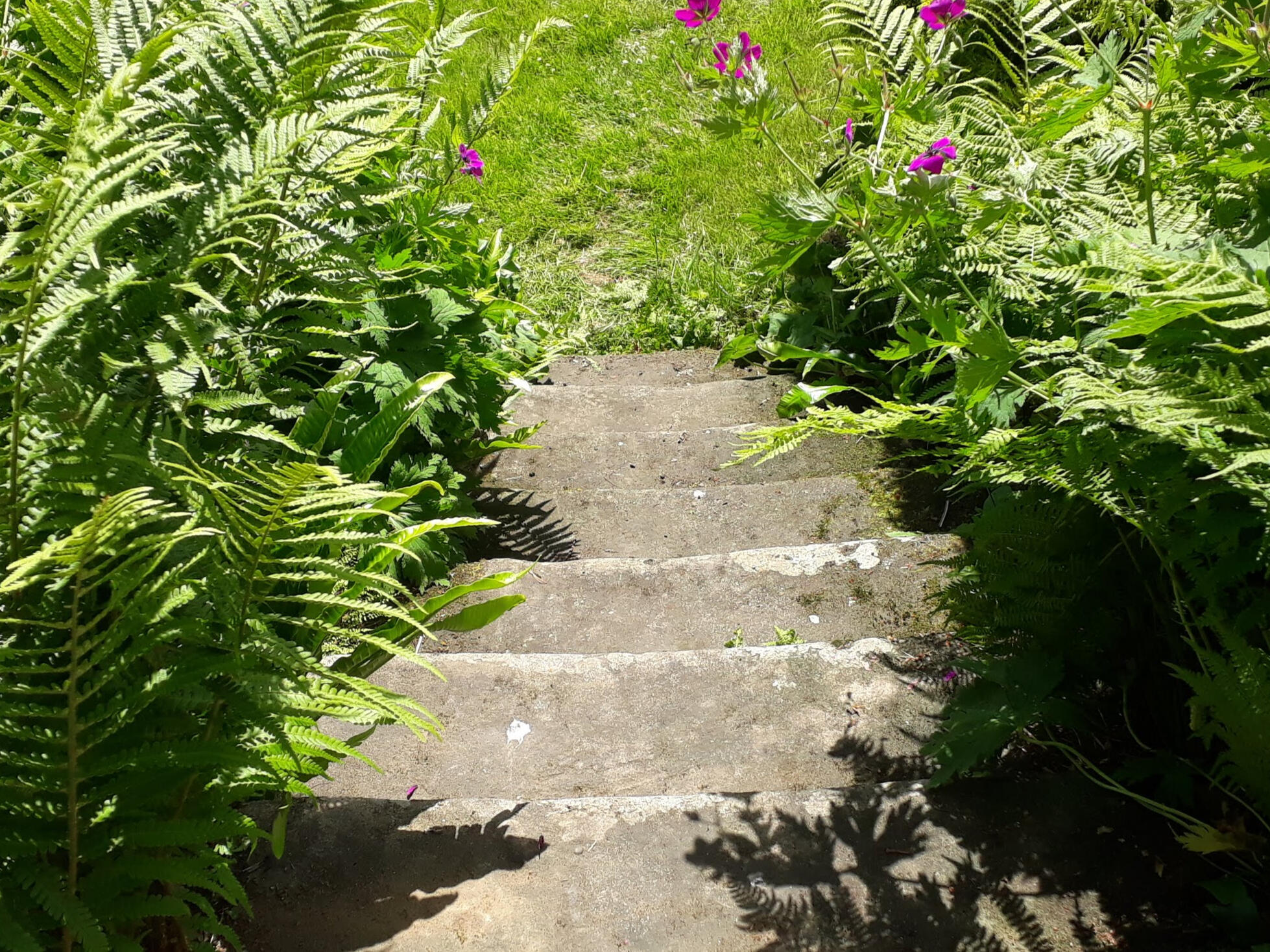 Quarter Acre Inks Handmade inks